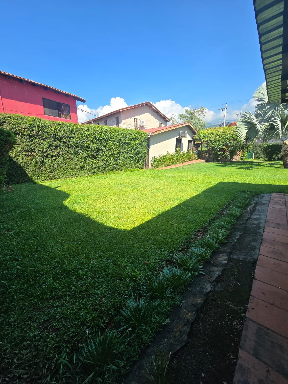 Vista del jardín hacia la construcción posterior